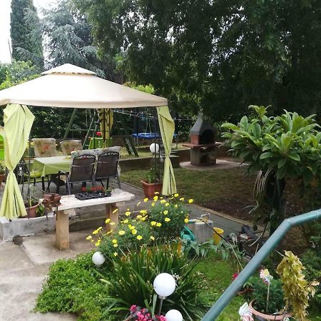 Apartment Mirana With Garden And Free Parking Zadar Exterior foto