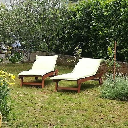 Apartment Mirana With Garden And Free Parking Zadar Exterior foto