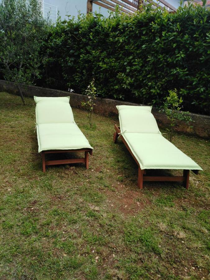 Apartment Mirana With Garden And Free Parking Zadar Exterior foto